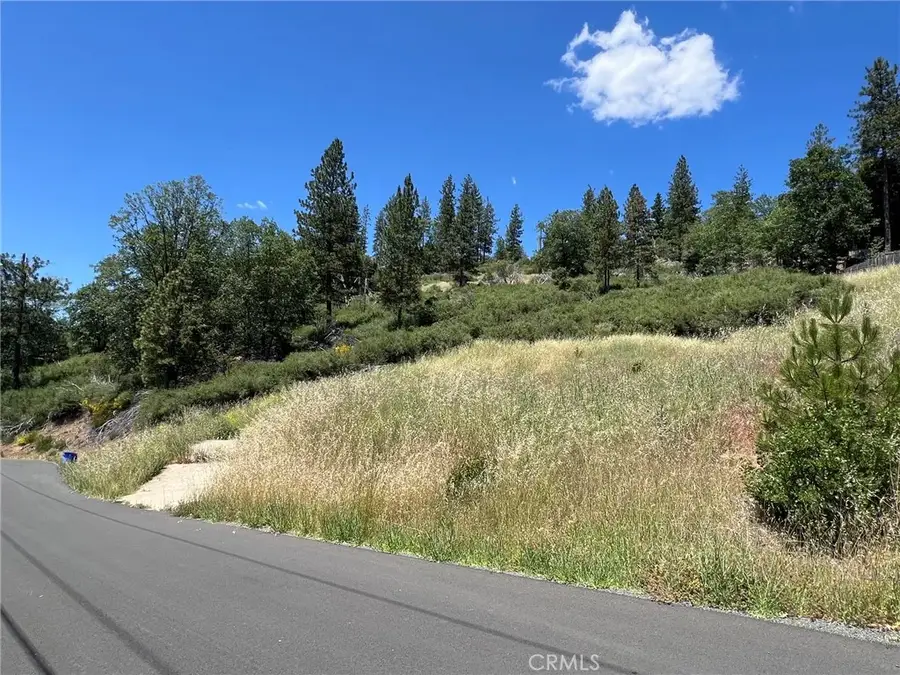 9284 Bleuss, Cobb, CA 95426 - #2
