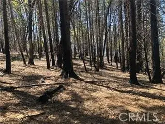 7097 High Valley, Lucerne, CA 95458 - #1