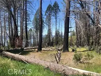 7097 High Valley, Lucerne, CA 95458 - #2
