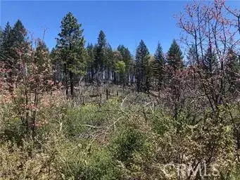 6847 High Valley, Lucerne, CA 95458 - #3