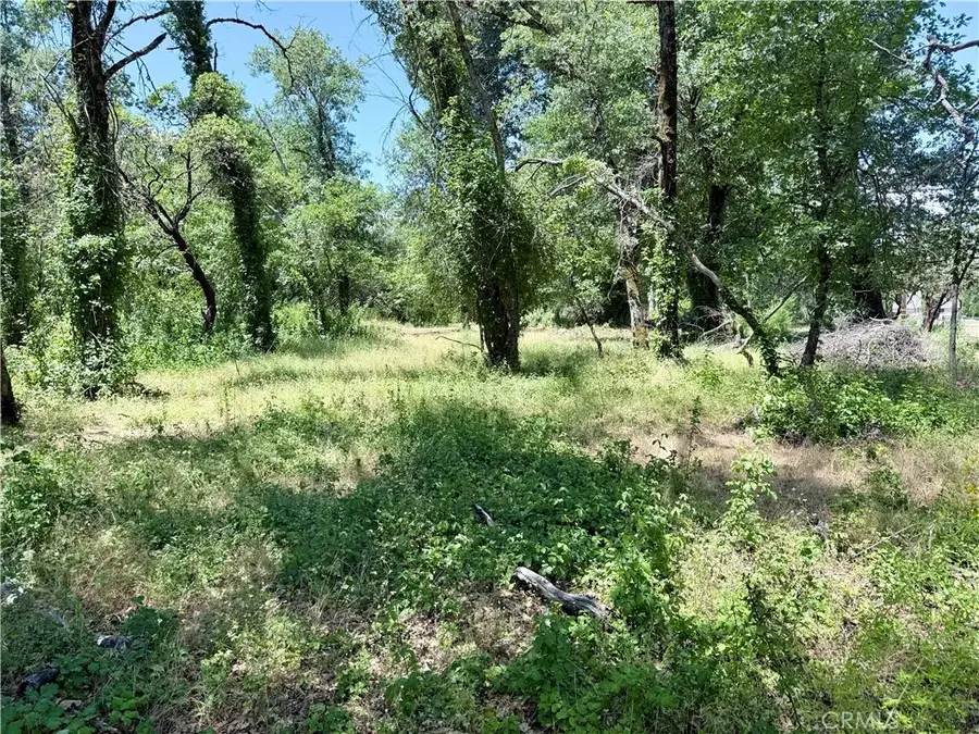 1343 Shady, Lakeport, CA 95453 - #3