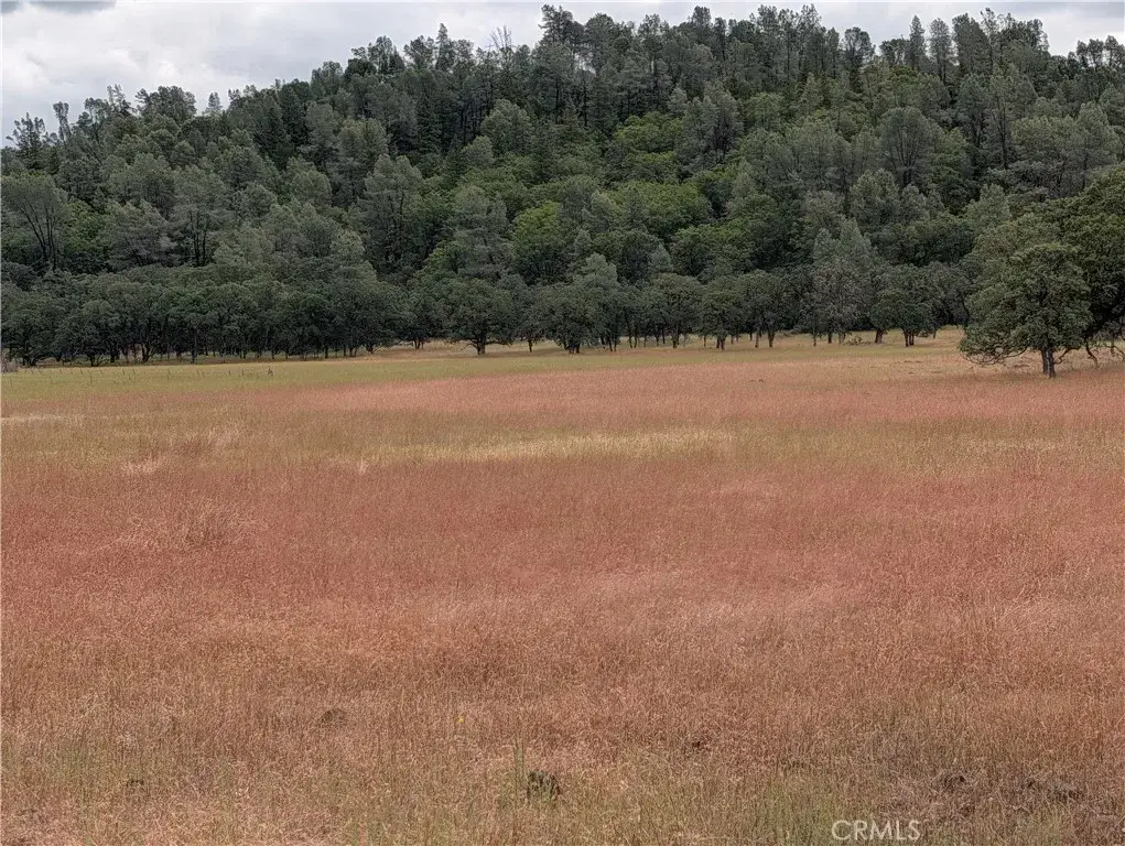 19905 Jerusalem Grade, Lower Lake, CA 95457 - #1