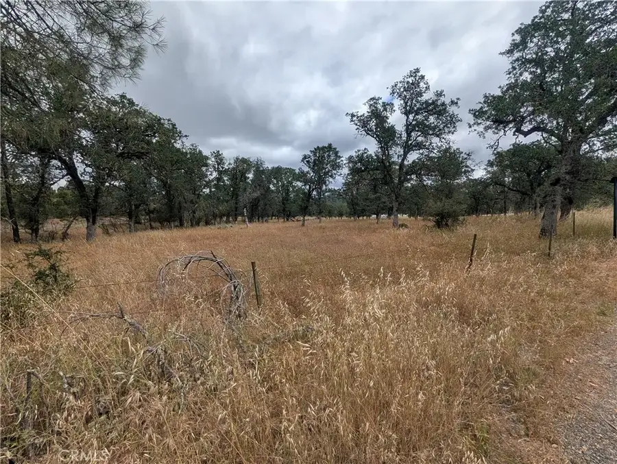 19905 Jerusalem Grade, Lower Lake, CA 95457 - #3