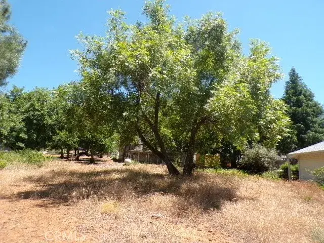 3252 Westwood, Kelseyville, CA 95451 - #2