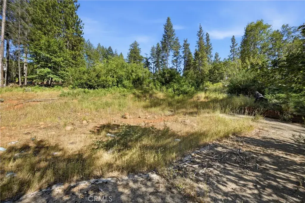 16132 Ponderosa, Cobb, CA 95426 - #1