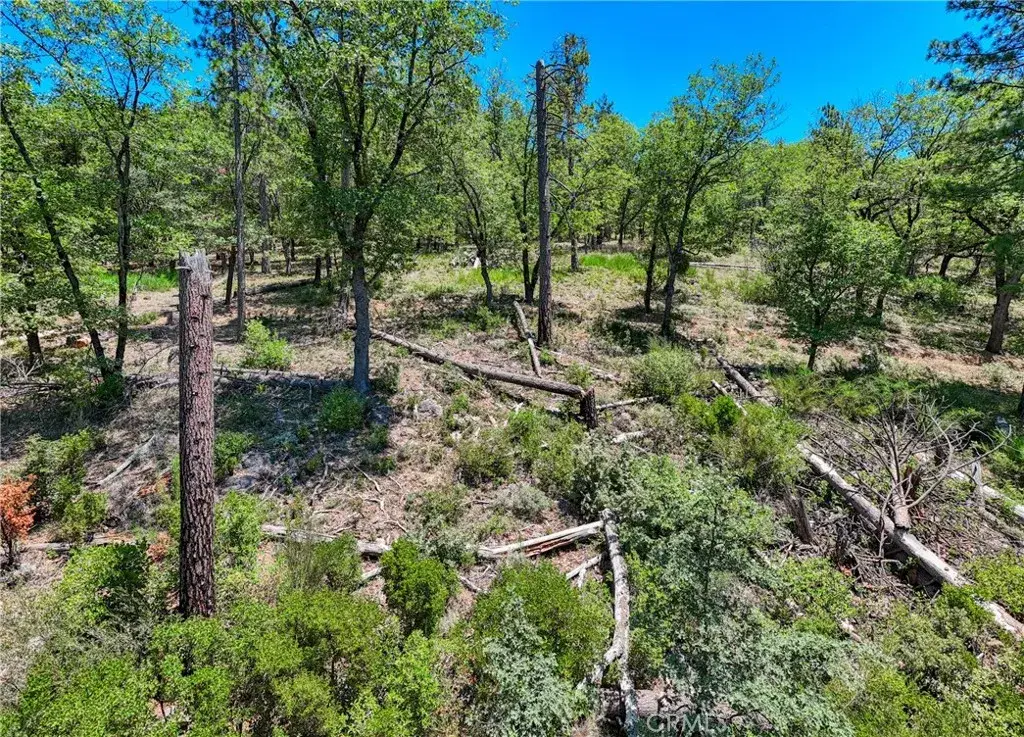 12548 Observation, Middletown, CA 95461 - #1