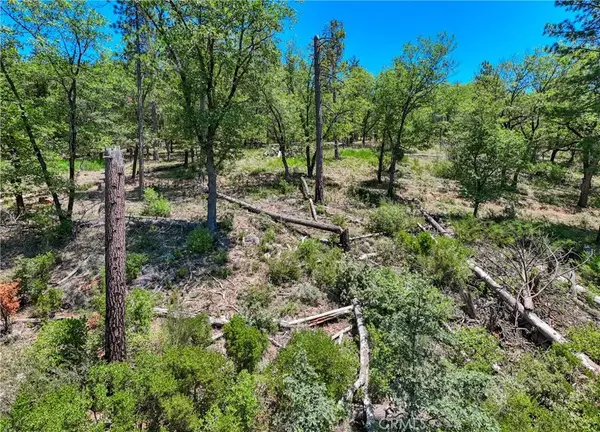 12548 Observation, Middletown, CA 95461