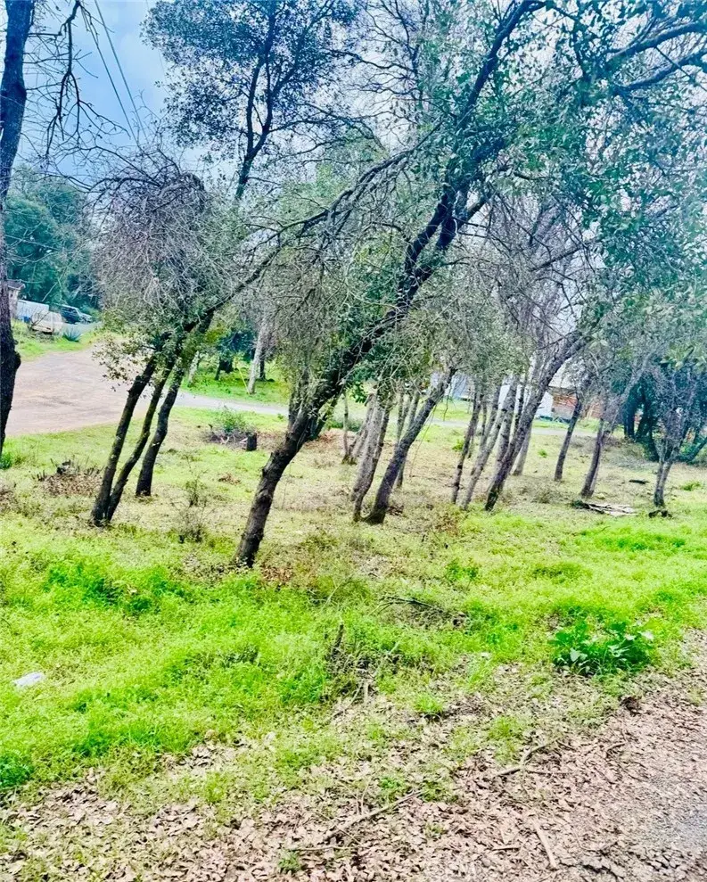 5976 Armijo, Clearlake, CA 95422 - #2