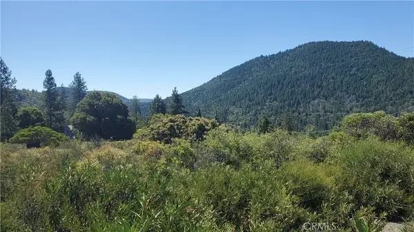 9176 Diamond Dust, Kelseyville, CA 95451