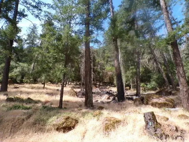 8020 Soda Bay, Kelseyville, CA 95451 - #3