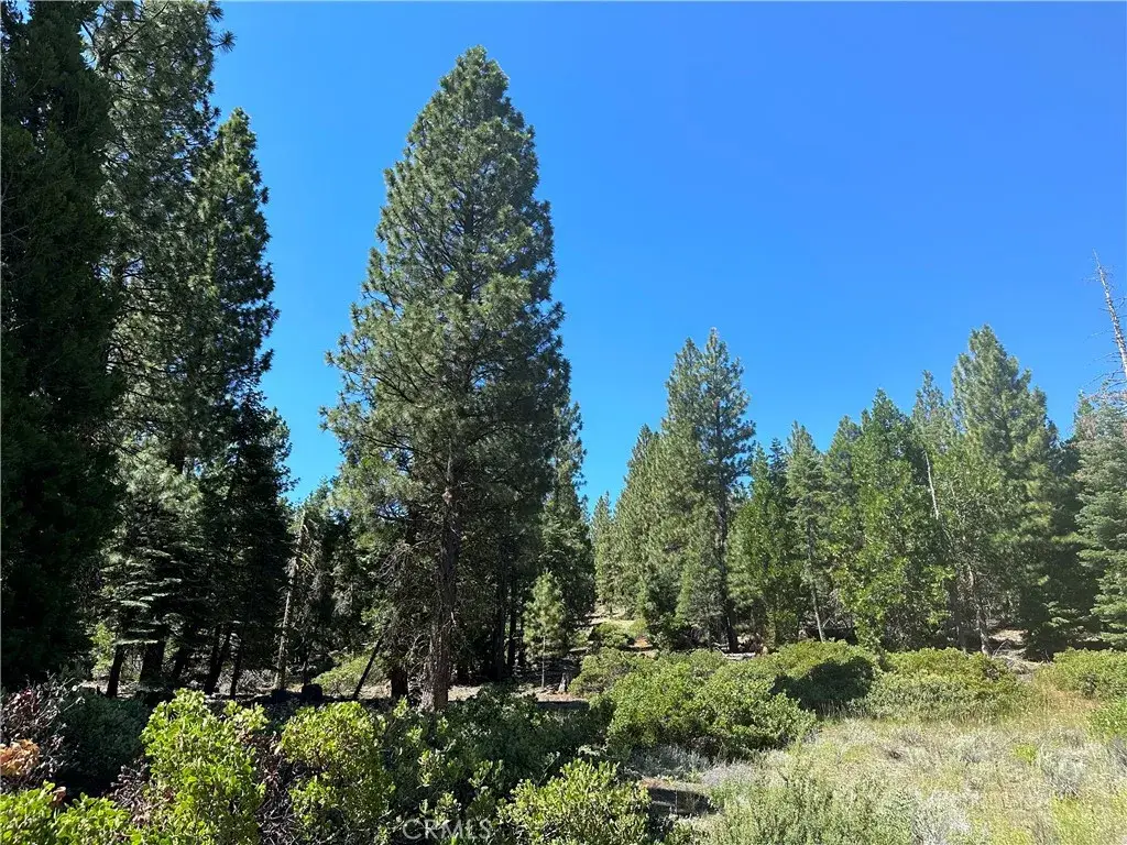 1 Canyon Creek Rd, California Pines, CA 96101 - #1