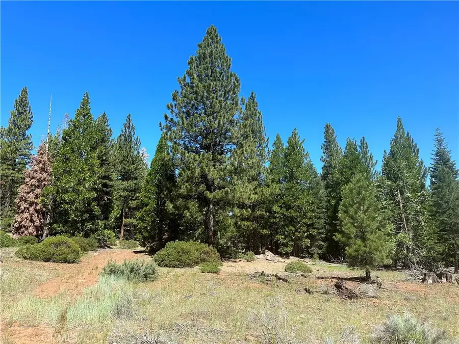 1 Canyon Creek Rd, California Pines, CA 96101 - #2