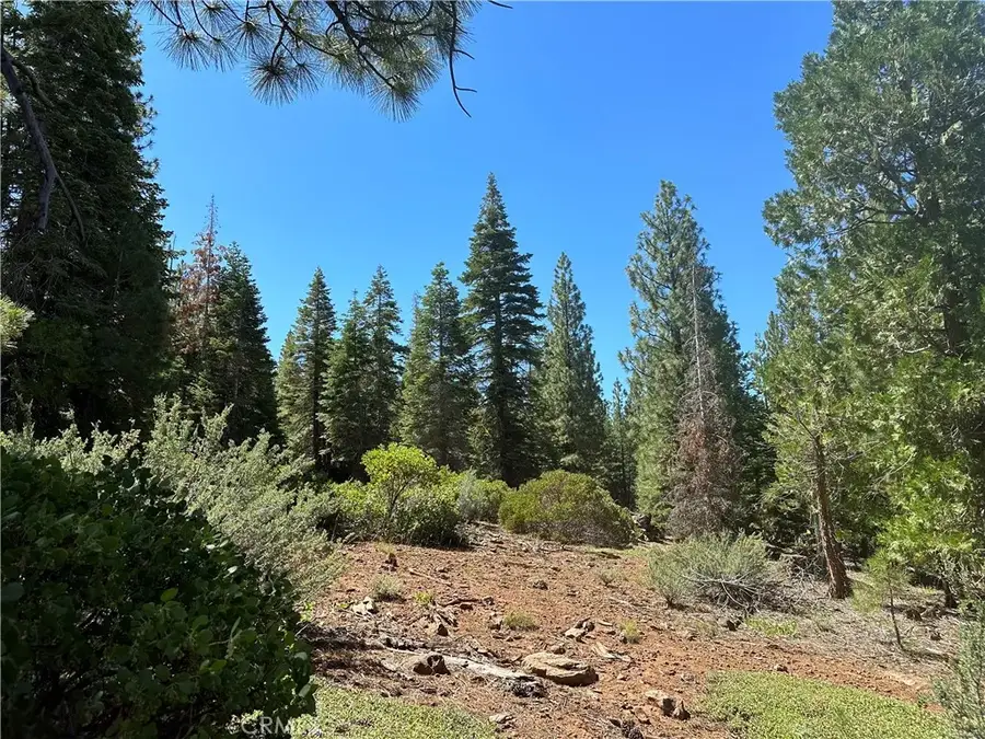 1 Canyon Creek Rd, California Pines, CA 96101 - #3