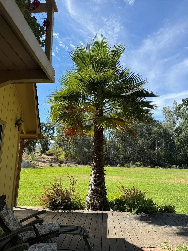 6733 Live Oak Drive, Kelseyville, CA 95451 - #3