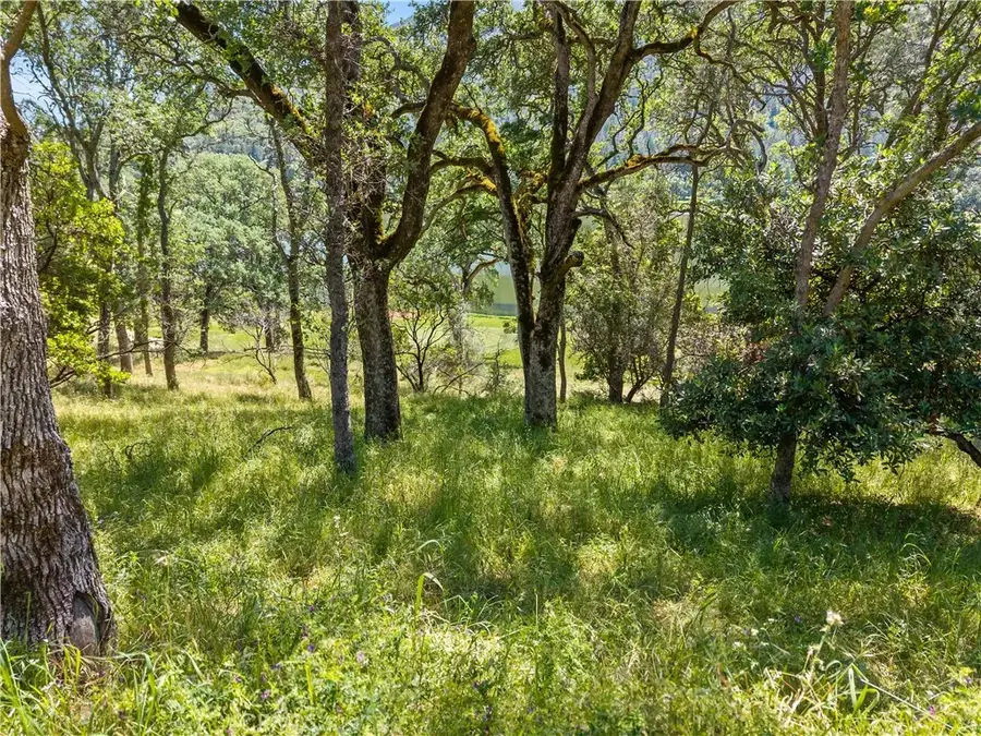 8239 Little Borax Lake Rd, Kelseyville, CA 95451 - #2
