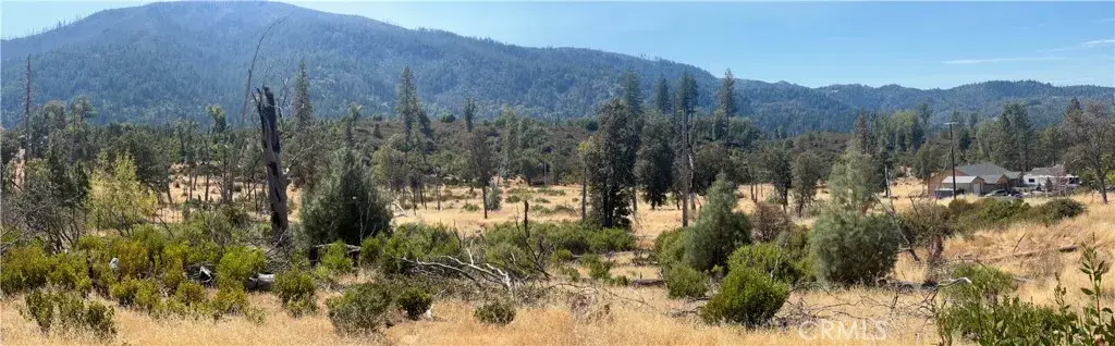 9569 Angelly, Cobb, CA 95426 - #1