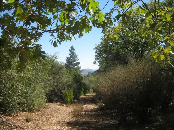 9070 S State Highway 29, Lower Lake, CA 95457