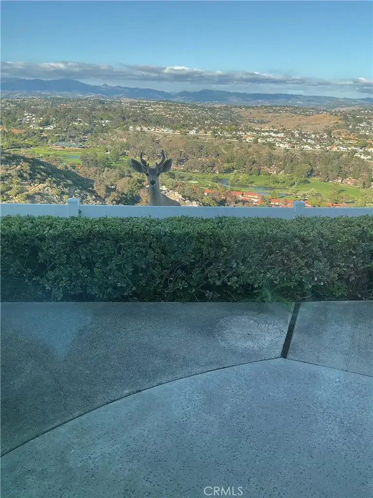 31422 Flying Cloud Drive, Laguna Niguel, CA 92677 - #2