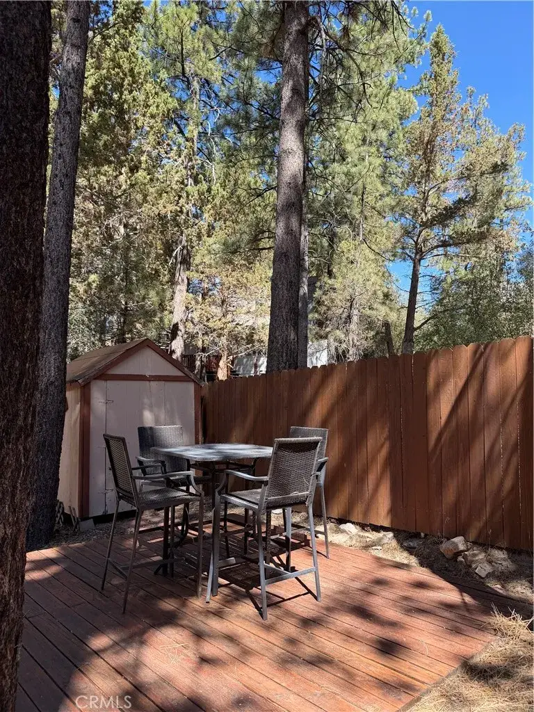 42870 Encino, Big Bear Lake, CA 92315 - #3