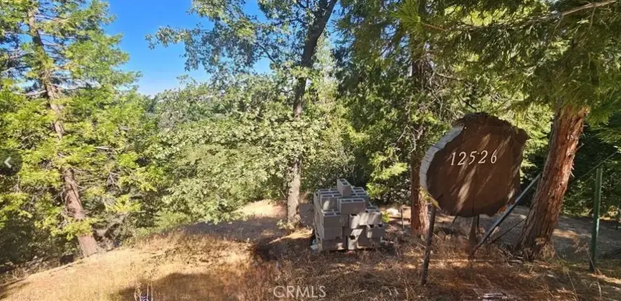 25126 Jewel, Crestline, CA 92325 - #3