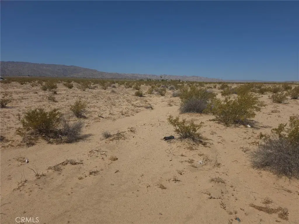 0 Datura, Twentynine Palms, CA 92277 - #1