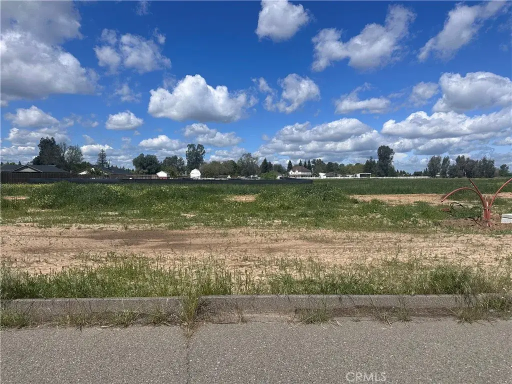 0 White Crane, Atwater, CA 95301 - Image #1