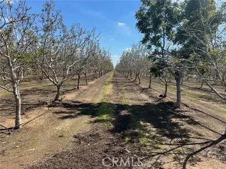 1081 E Gerard, Merced, CA 95341 - #3