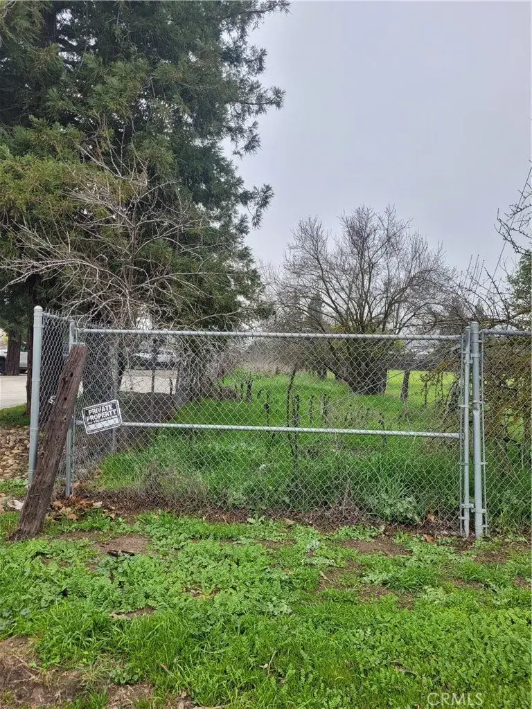 0 Mc Dowell, Le Grand, CA 95333 - #2