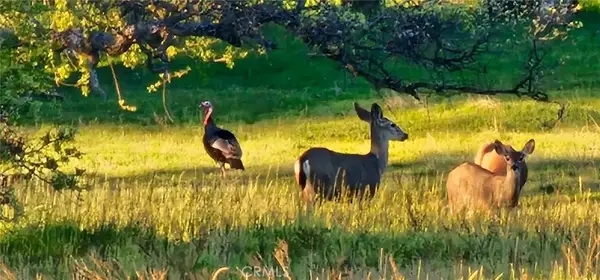 9145 Hunters Valley, Mariposa, CA 95338