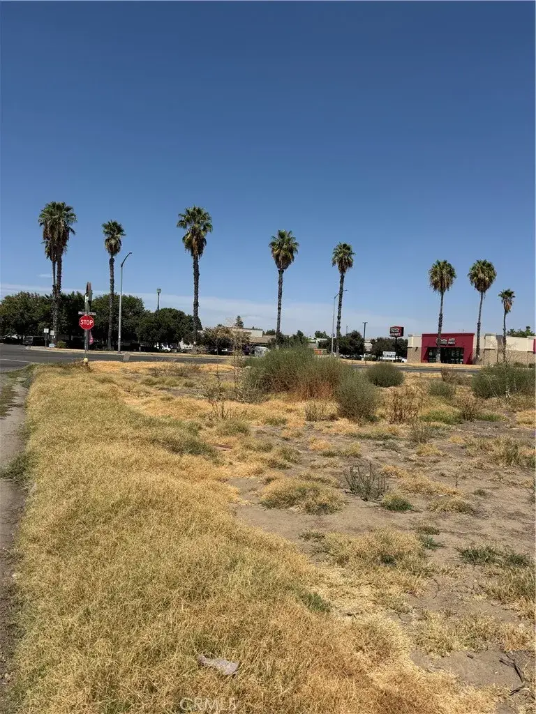 0 Adams, Chowchilla, CA 93610 - #3