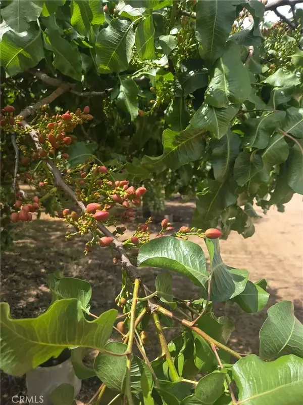 0 Santa Fe, Chowchilla, CA 93610