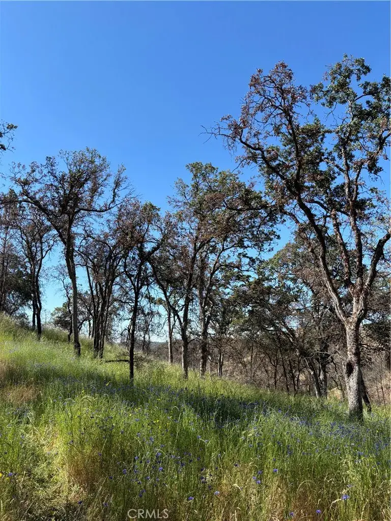 5358 Mariposa Heights, Mariposa, CA 95338 - Image #3