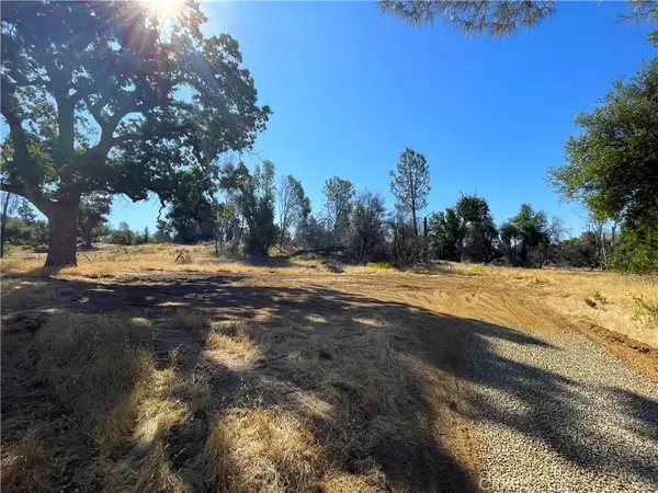 705 Triangle, Mariposa, CA 95338