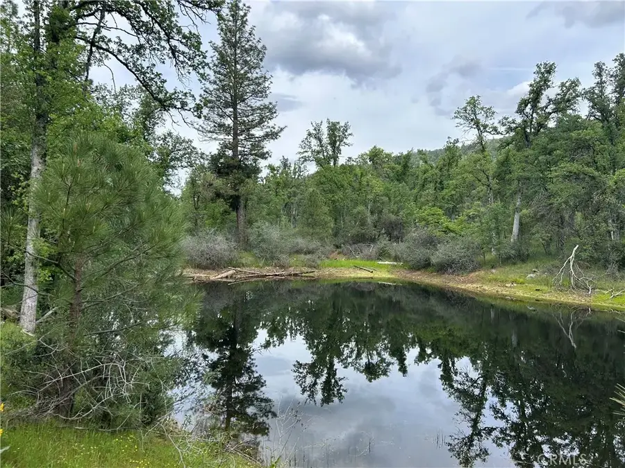 5 Placer, Mariposa, CA 95338 - #2