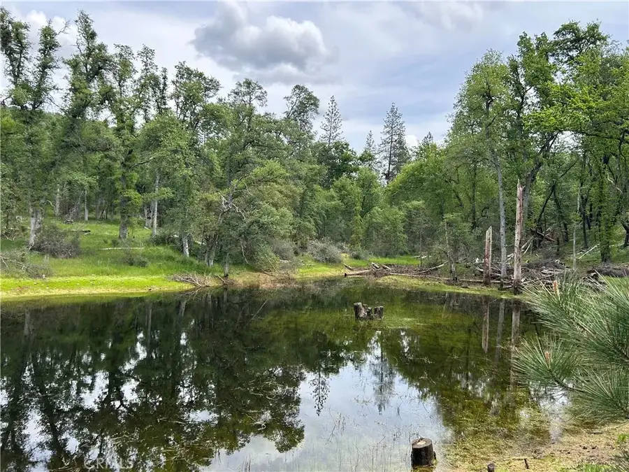 5 Placer, Mariposa, CA 95338 - #3