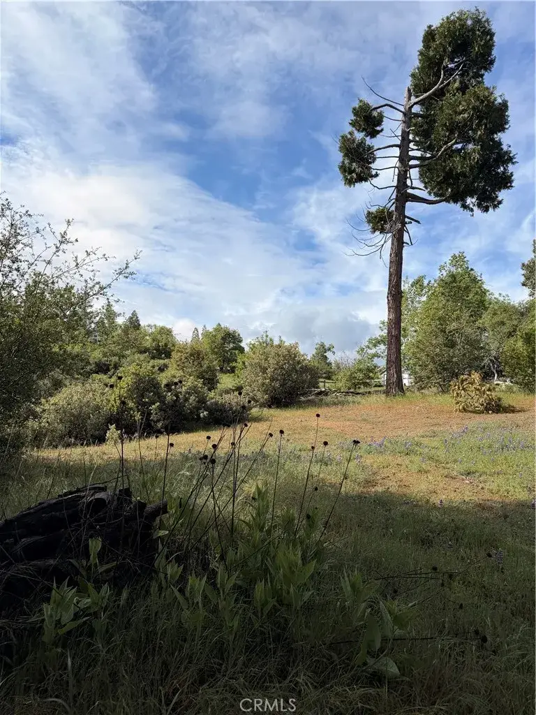 39 Manzanita, Oakhurst, CA 93644 - #2