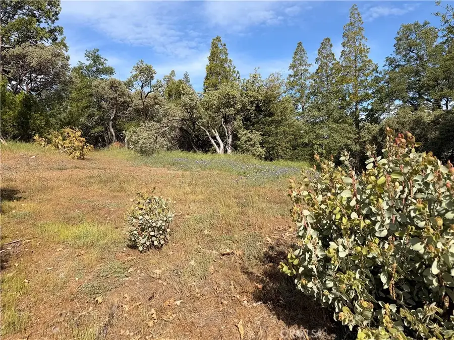 39 Manzanita, Oakhurst, CA 93644 - #3