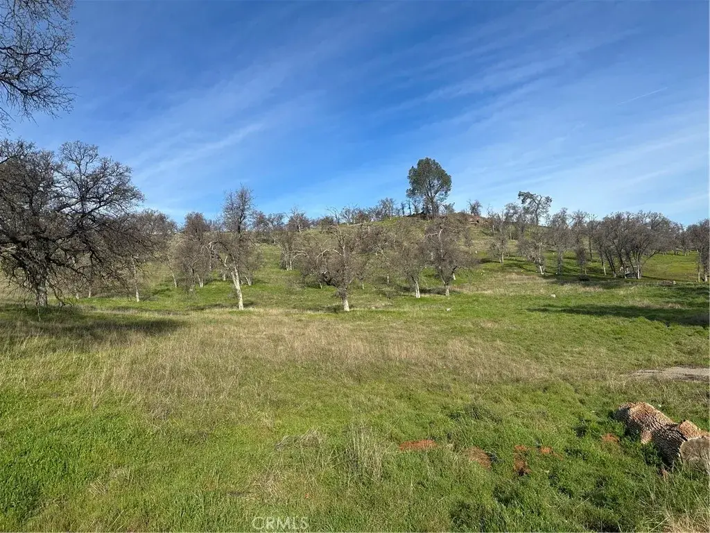 3228 Wild Rose, Catheys Valley, CA 95306 - #1