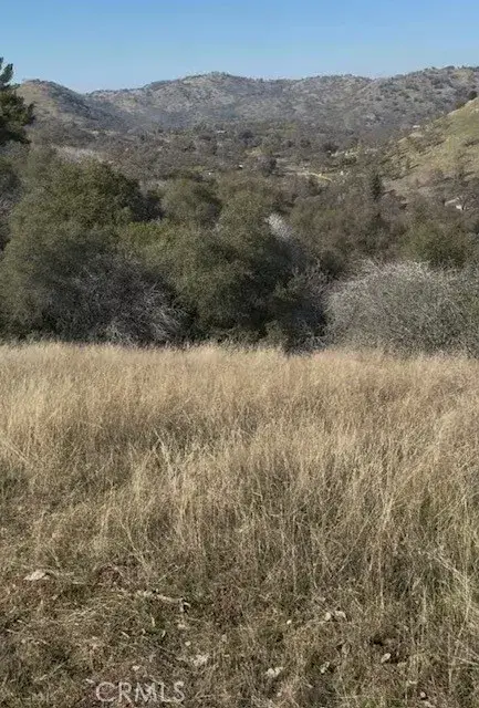 0 Chuckwagon, Squaw Valley, CA 93675 - Image #2