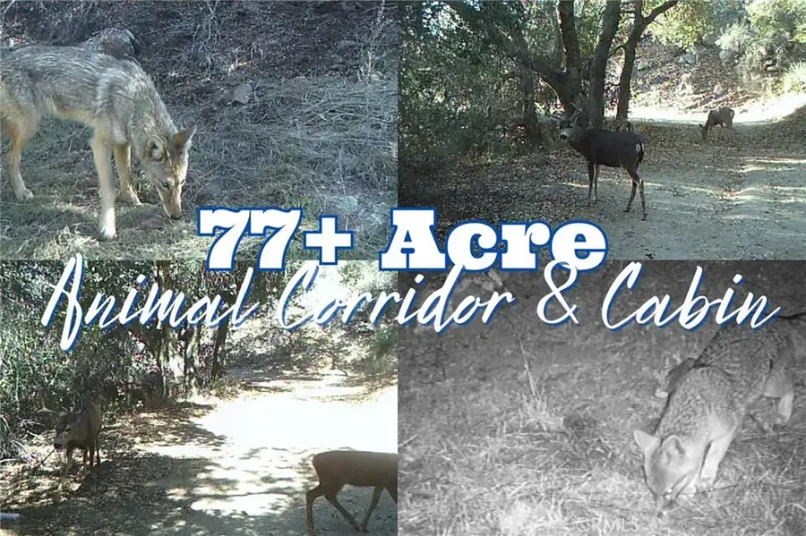 28618 Chihuahua Valley, Warner Springs, CA 92086 - #3