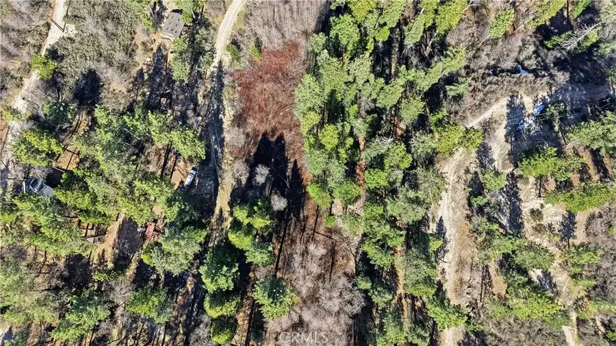 0 Little Bear, Cedar Glen, CA 92321 - #3