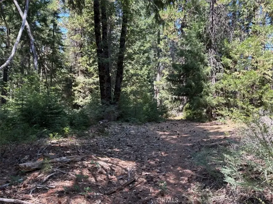 9936 Fobes, Morongo Valley, CA 92256 - #3