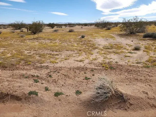 0 Saturn, Joshua Tree, CA 92252 - #3