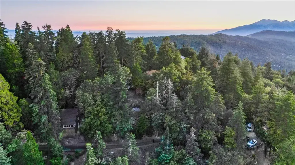 0 Mid, Twin Peaks, CA 92391 - #1