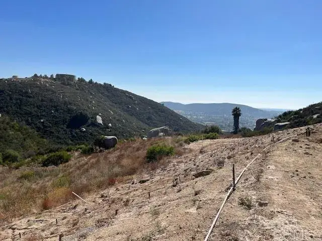 #2