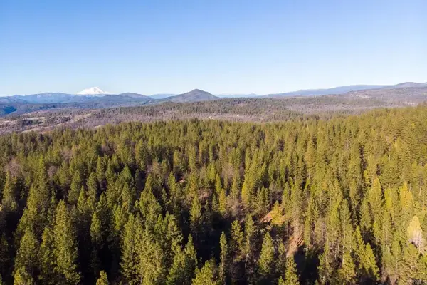 29276 Bullskin Ridge Rd, Oak Run, CA 96069