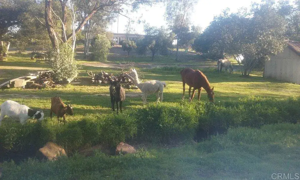 6490 Rainbow Heights Road, Fallbrook, CA 92028 - Image #1