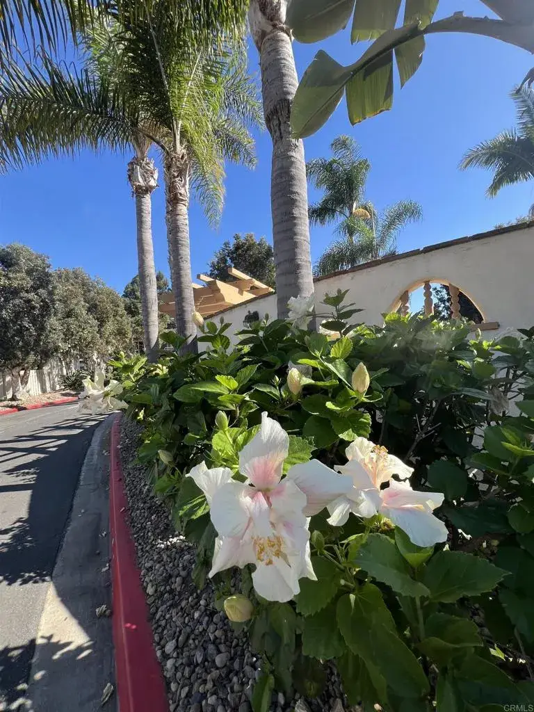 4241 Loma Riviera Lane, San Diego, CA 92110 - Image #2