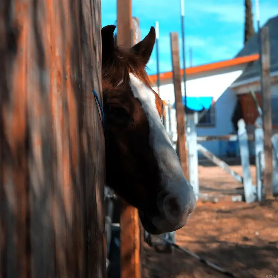 41945 Apple Road, Anza, CA 92539 - #2