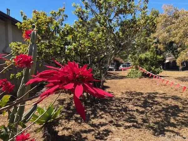3328 Roosevelt, Carlsbad, CA 92008